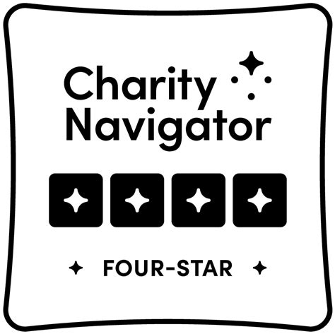 international education charity|iie navigator.
